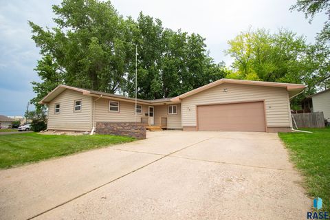 Single Family Residence in Canton SD 28 Park Ln Lane.jpg