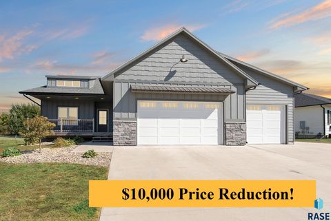 Single Family Residence in Valley Springs SD 116 Lynx St Street.jpg