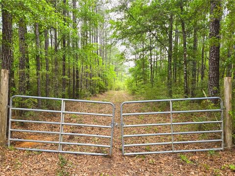 Unimproved Land in Citronelle AL 0 Reed Road.jpg