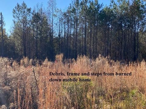 Mobile Home in Deer Park AL 113 Carter Lane.jpg