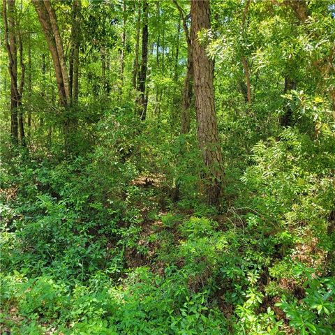 Unimproved Land in Theodore AL 0 5th Avenue.jpg