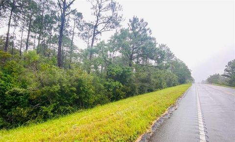 Unimproved Land in Coden AL 0 Highway 188 #5.jpg