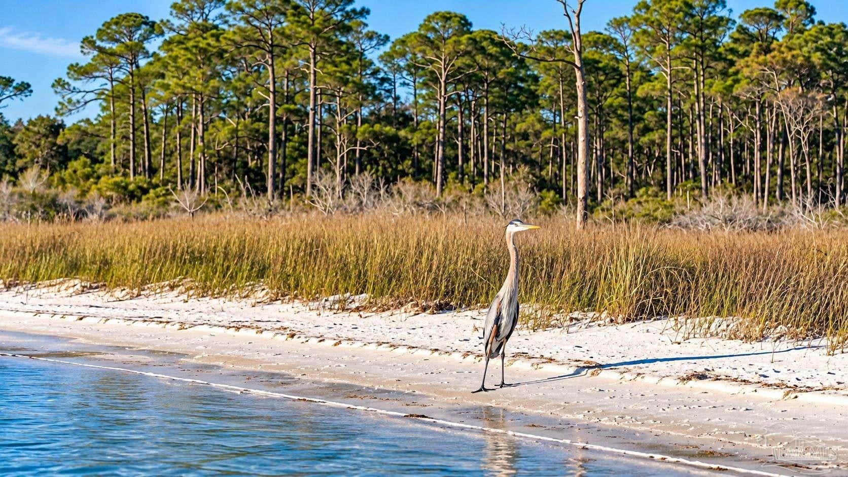 10355 Foggy Bottom Rd, Pensacola, FL 32507 photo