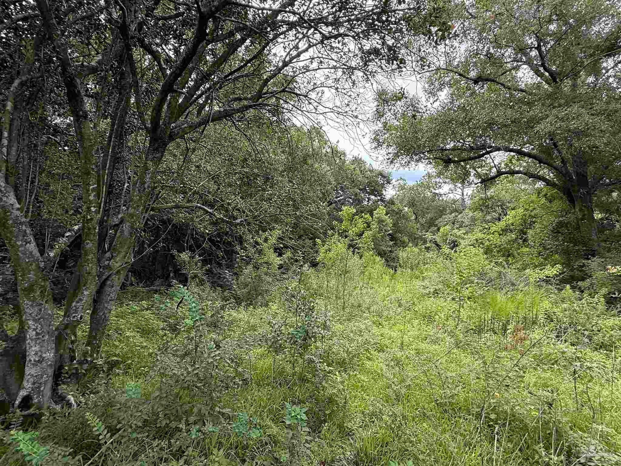 5007 Lillian Hwy, Pensacola, FL 32506 photo