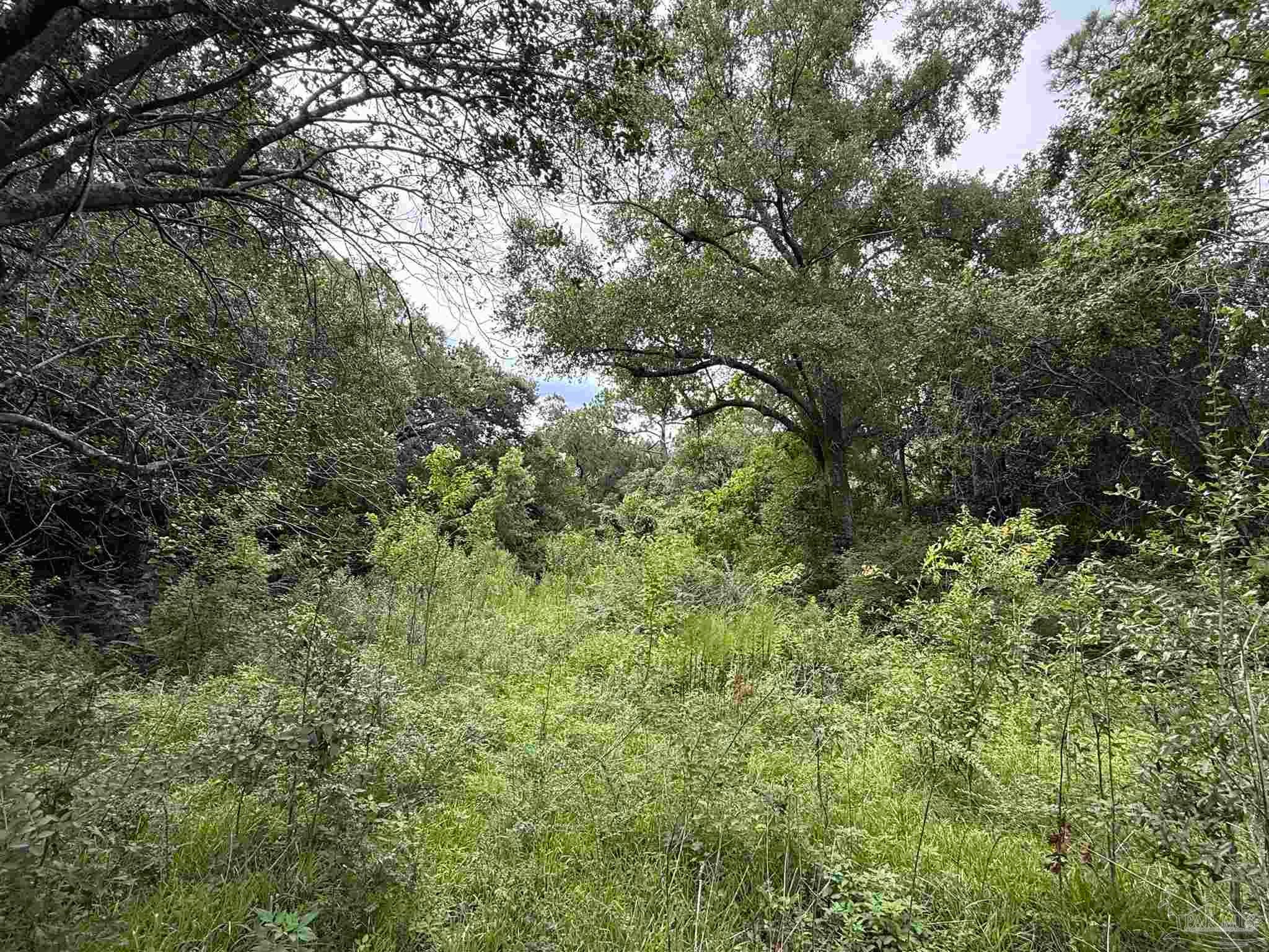 5007 Lillian Hwy, Pensacola, FL 32506 photo