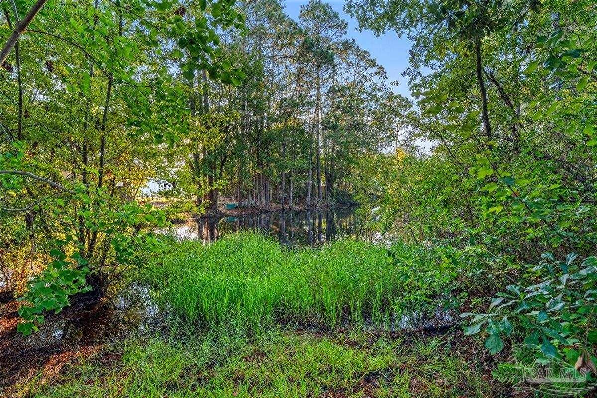 12325 Ailanthus Dr, Pensacola, FL 32506 photo