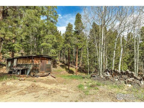 Unimproved Land in Nederland CO 765 W 1st.jpg