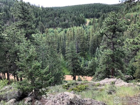 Unimproved Land in Nederland CO 0 Cold Springs Dr.jpg