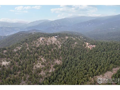 Unimproved Land in Nederland CO 2091 Magnolia Dr.jpg