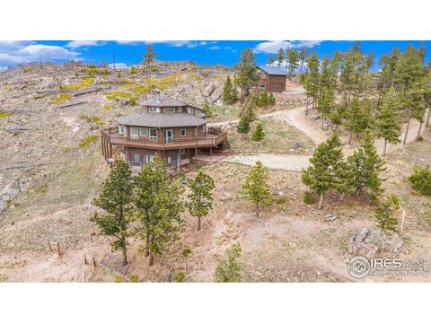 Single Family Residence in Bellvue CO 552 Blue Grouse Ln.jpg
