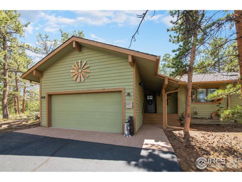 Single Family Residence in Red Feather Lakes CO 939 Fox Acres Dr.jpg