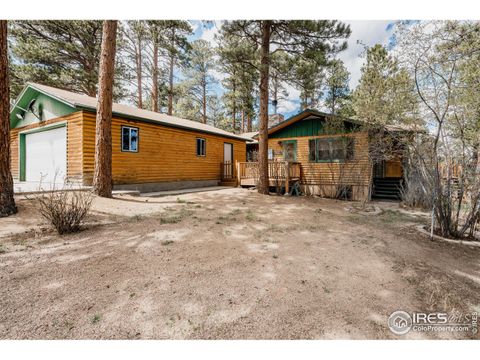 Single Family Residence in Estes Park CO 1026 Lexington Ln.jpg