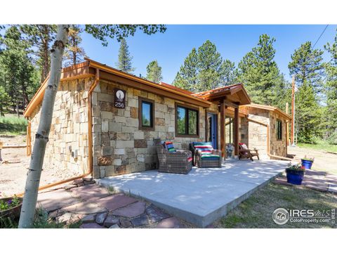 Single Family Residence in Allenspark CO 256 Fisk Fenner Rd.jpg