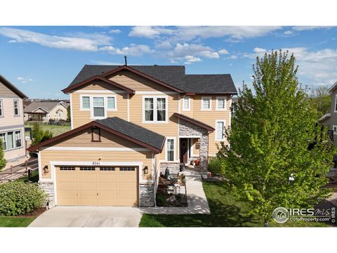 Single Family Residence in Windsor CO 8241 White Owl Ct.jpg