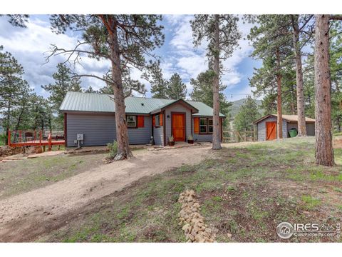 Single Family Residence in Allenspark CO 277 Ski Rd.jpg