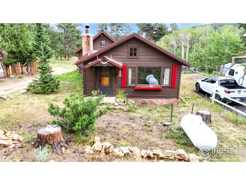Single Family Residence in Allenspark CO 11563 Peak To Peak Dr.jpg