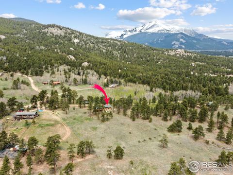 Single Family Residence in Allenspark CO 839 Ski Rd.jpg