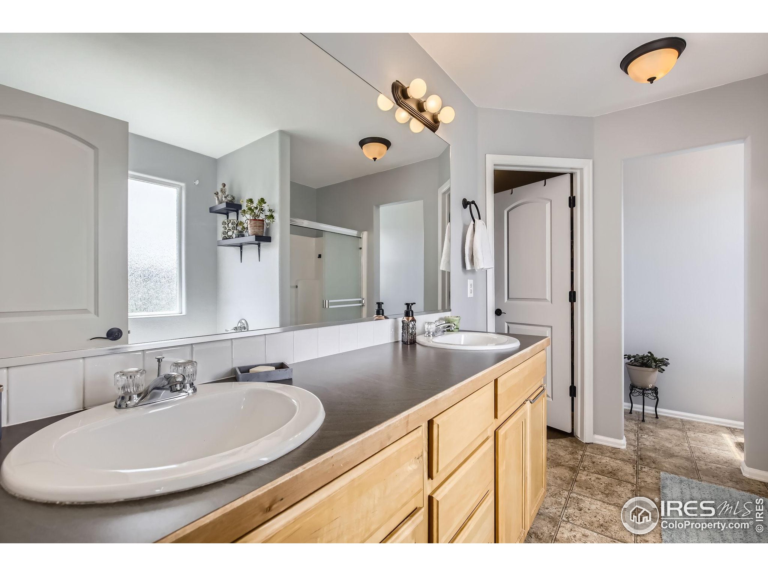 Single Family Residence in Windsor CO 189 Kitty Hawk Ct 13.jpg