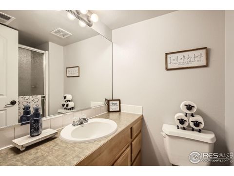 Single Family Residence in Windsor CO 189 Kitty Hawk Ct 20.jpg