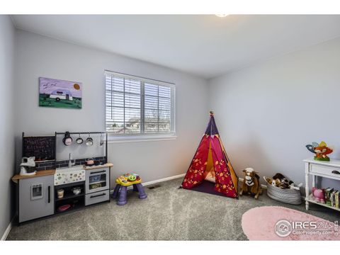 Single Family Residence in Windsor CO 189 Kitty Hawk Ct 16.jpg