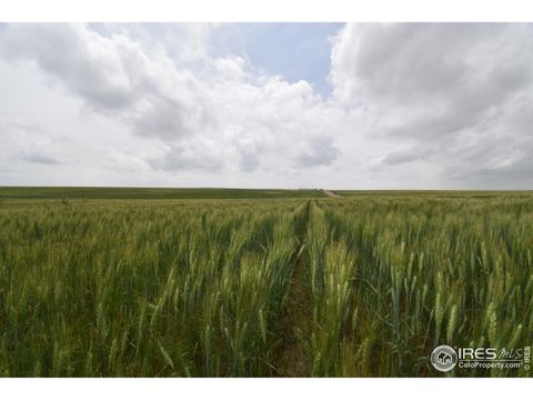 Farm in Yuma CO County Road 57.jpg