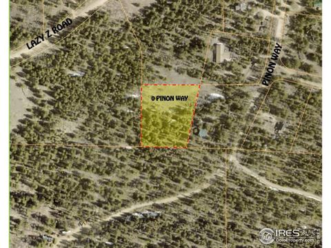 Unimproved Land in Nederland CO 234 Pinon Way.jpg