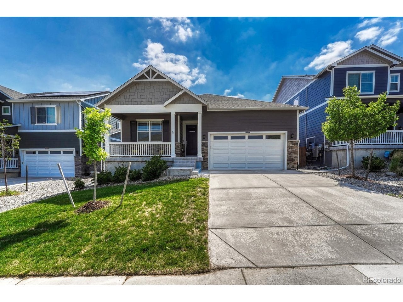 14032 Shasta Daisy St, Parker, CO 80134