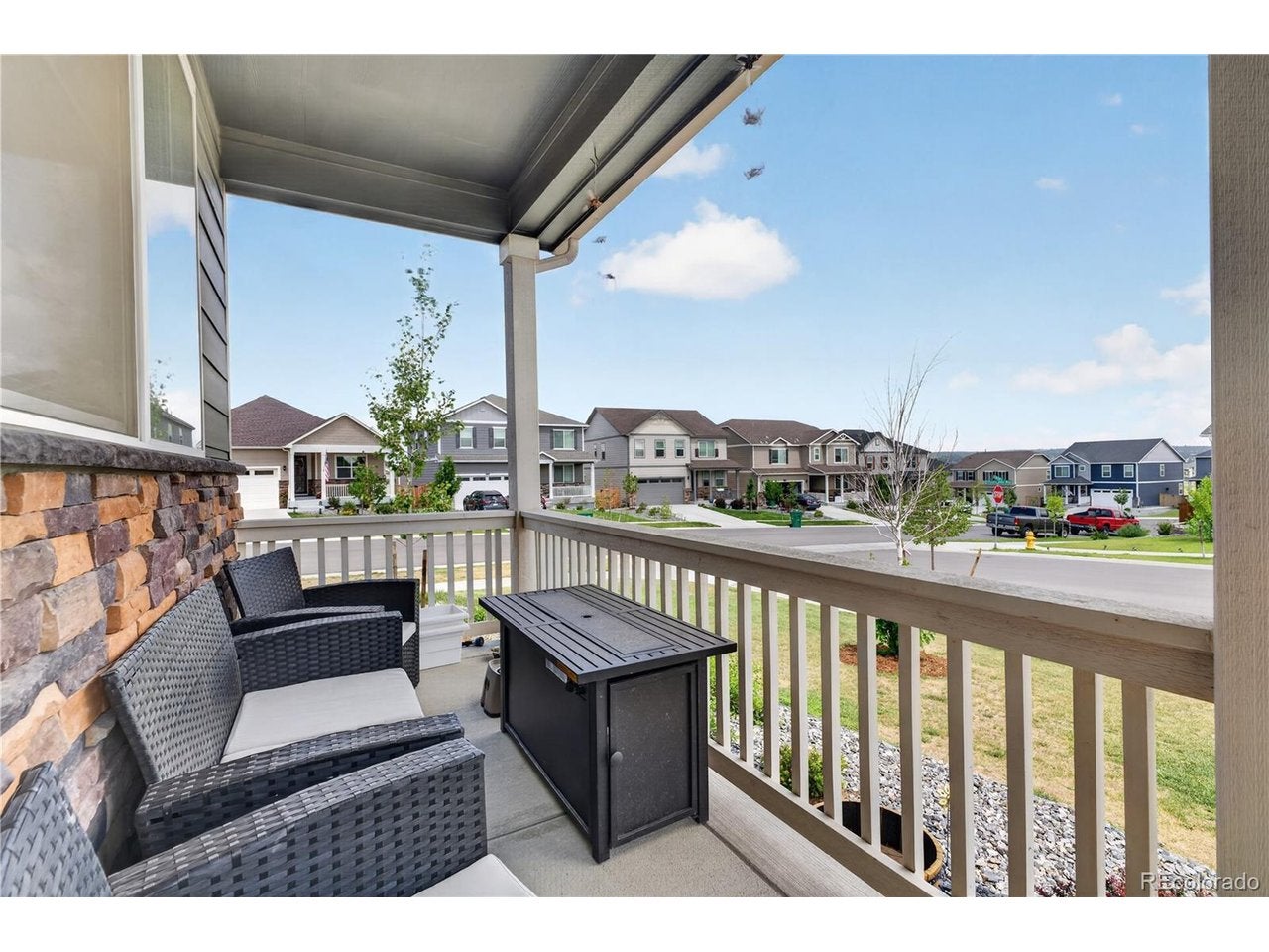 14225 Purple Aster Way, Parker, CO 80134 photo