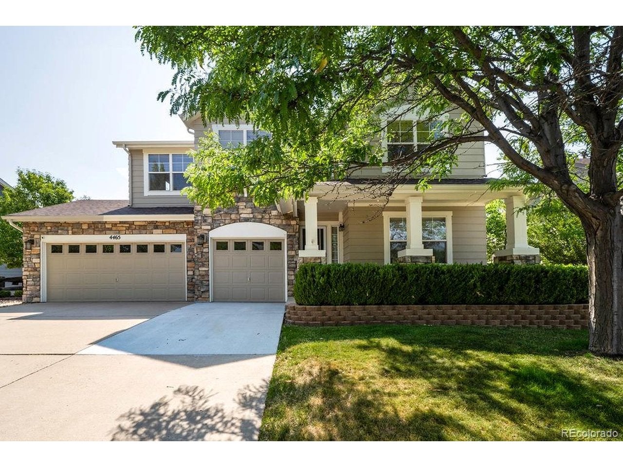 4465 Charing Dr, Castle Rock, CO 80109 photo