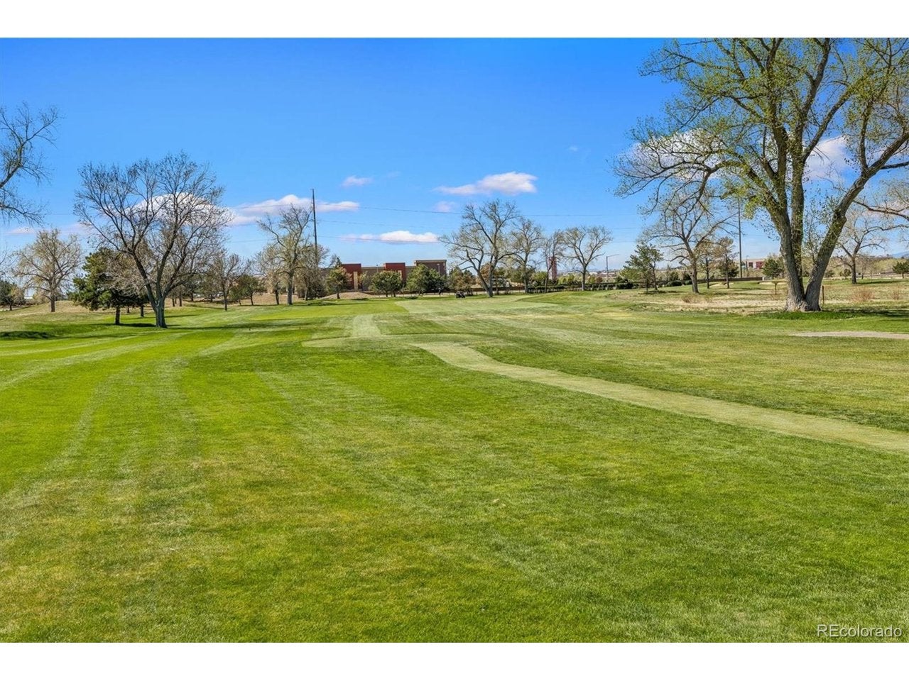 6587 S Helena St, Centennial, CO 80016 photo