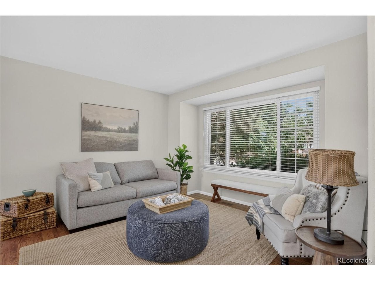 8923 Edgewood St, Highlands Ranch, CO 80130 photo