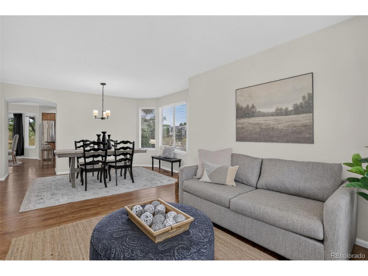 8923 Edgewood St, Highlands Ranch, CO 80130 photo