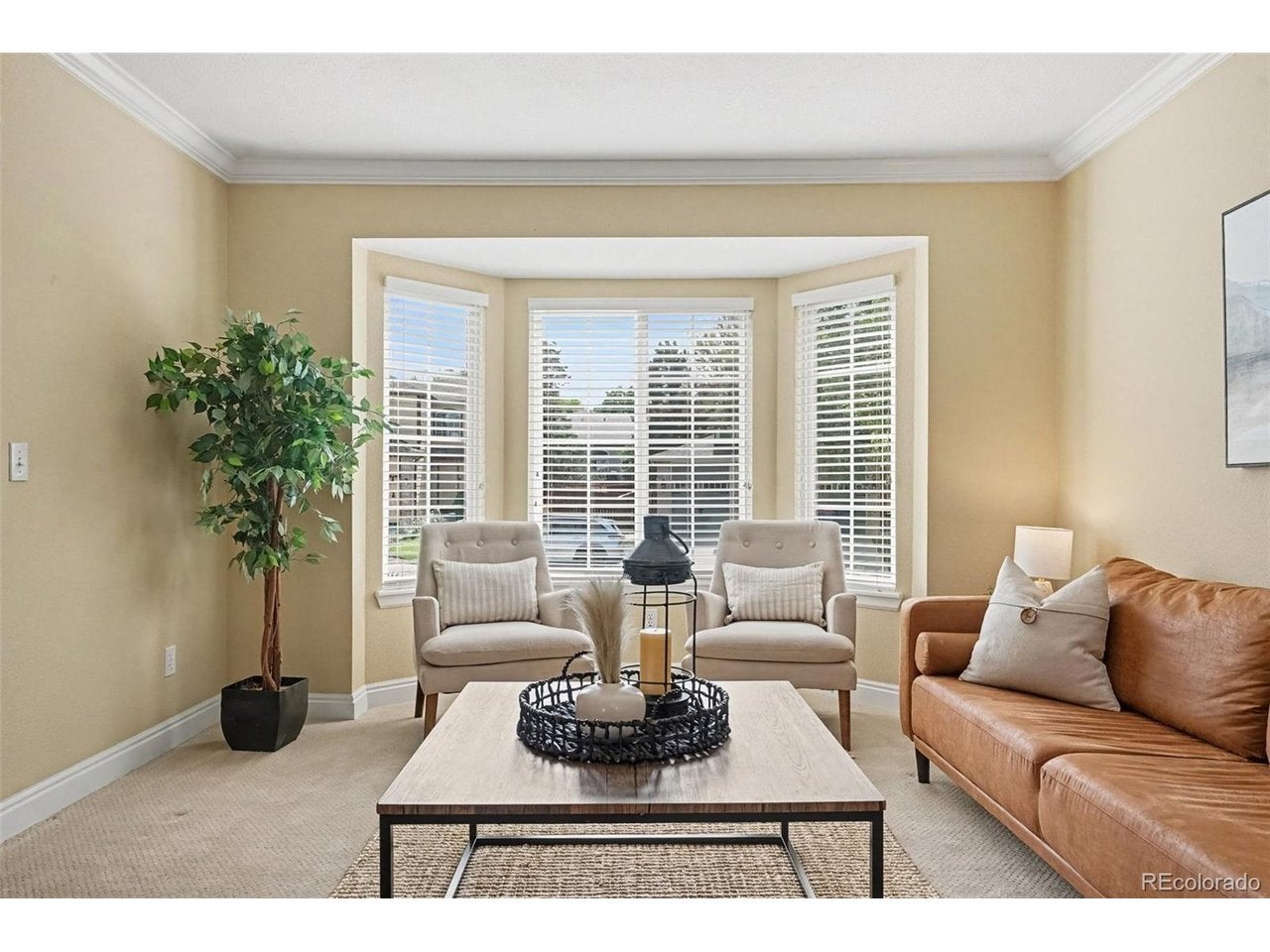 435 Bexley St, Highlands Ranch, CO 80126 photo