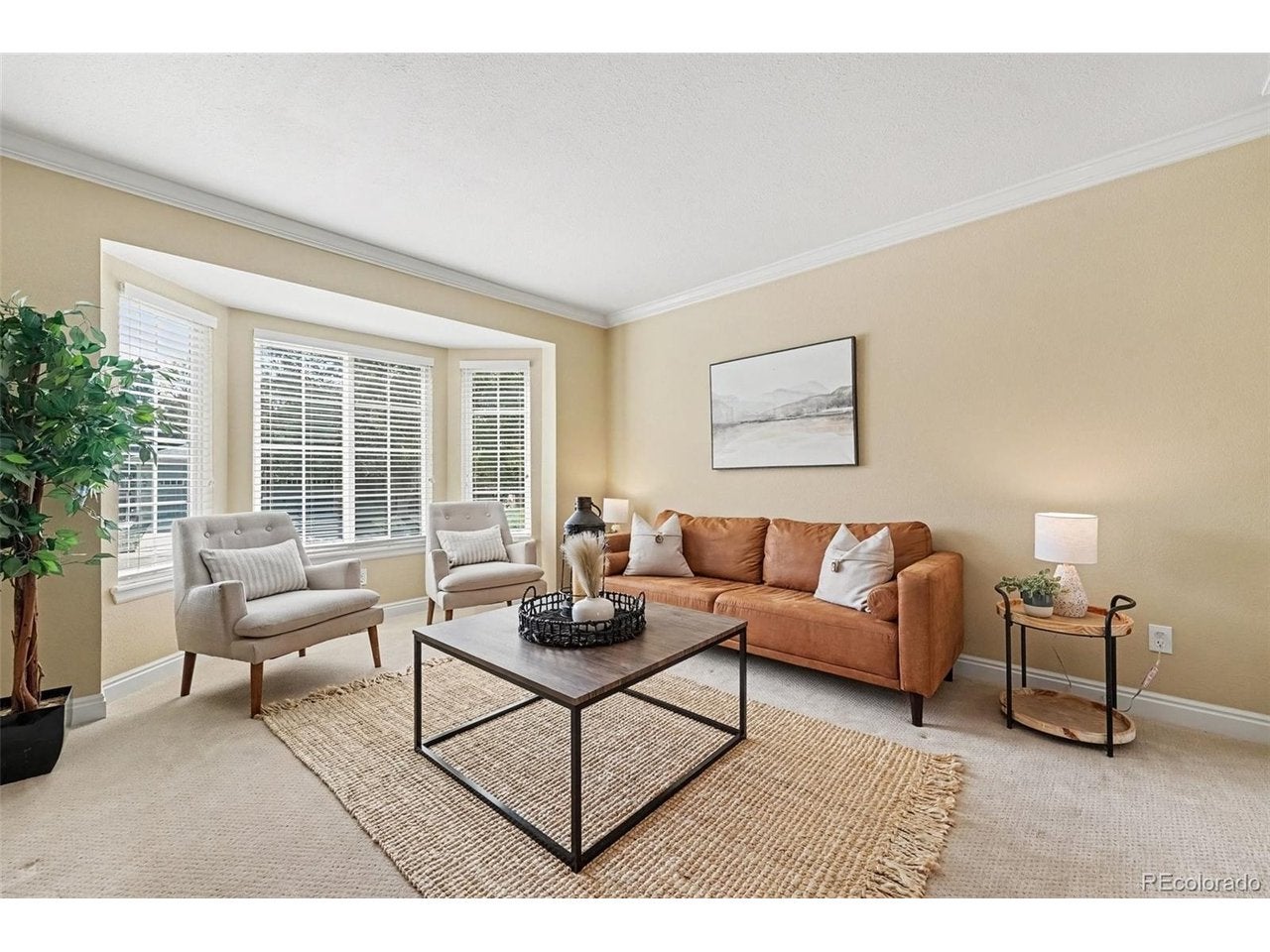 435 Bexley St, Highlands Ranch, CO 80126 photo
