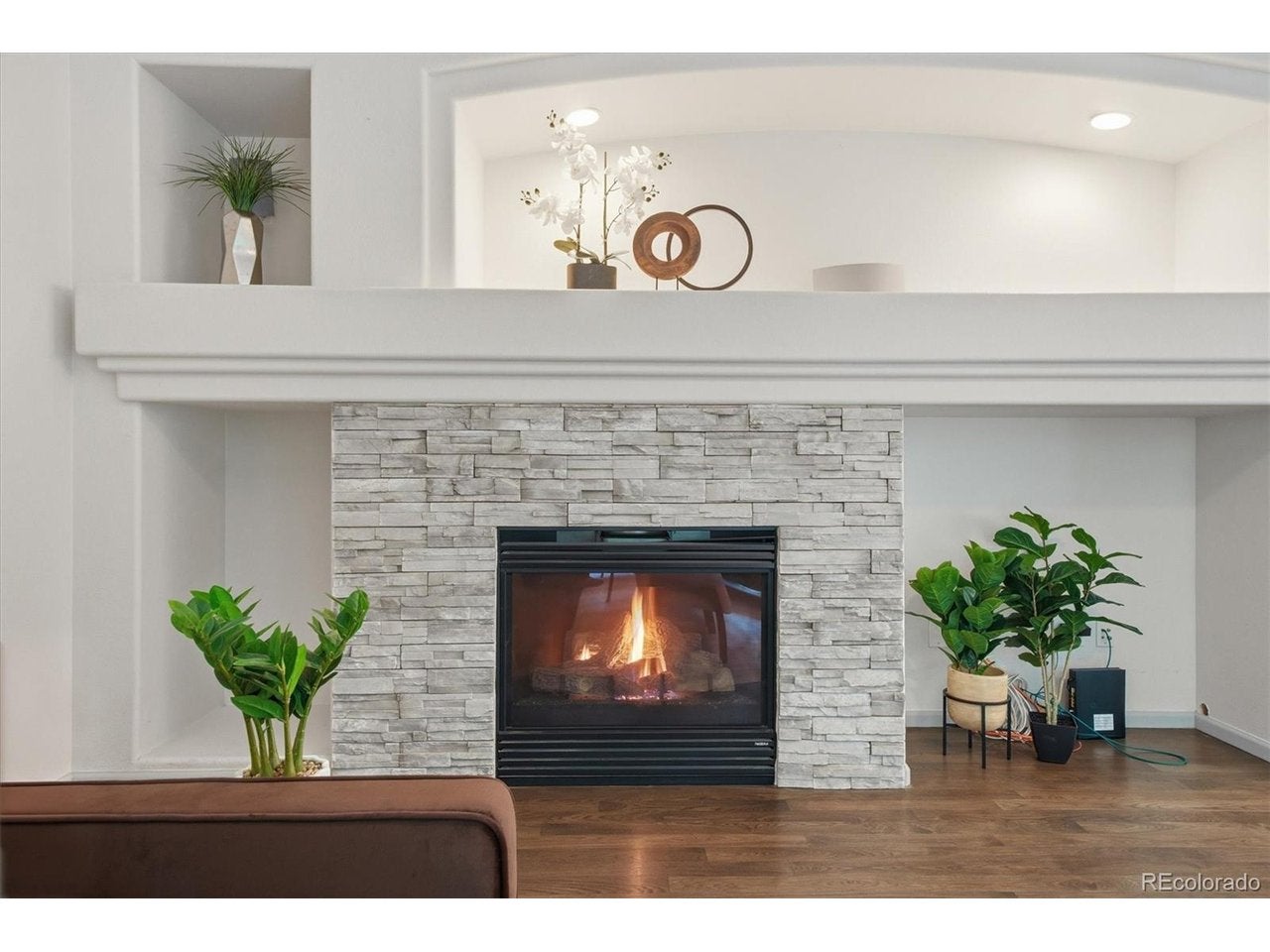 10580 Kicking Horse Dr, Littleton, CO 80125 photo