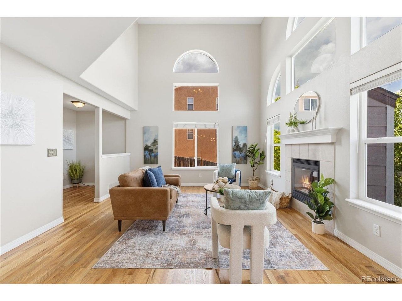459 Assay Ct, Colorado Springs, CO 80905 photo