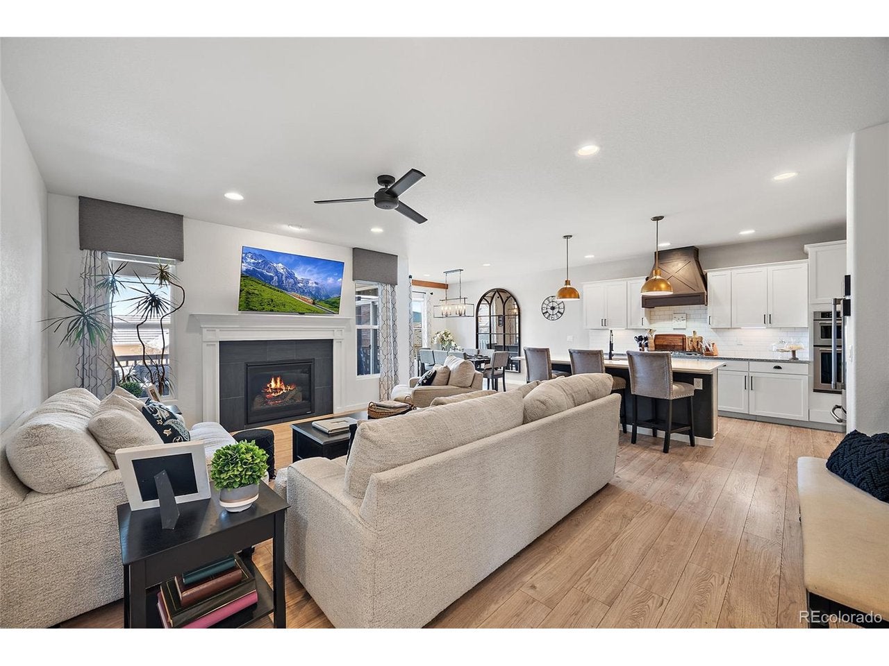 1485 Captiva Beach Ln, Monument, CO 80132 photo