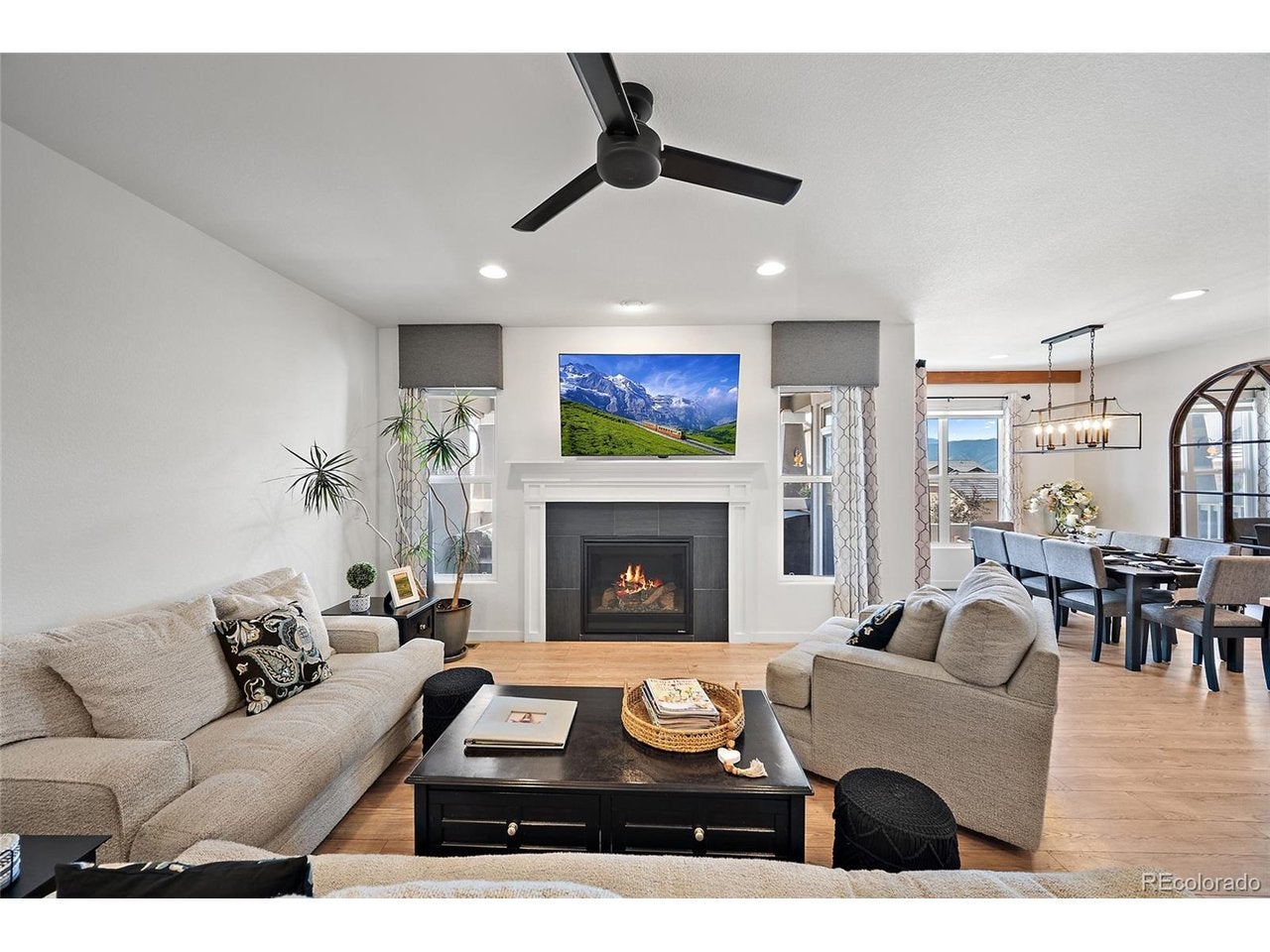 1485 Captiva Beach Ln, Monument, CO 80132 photo