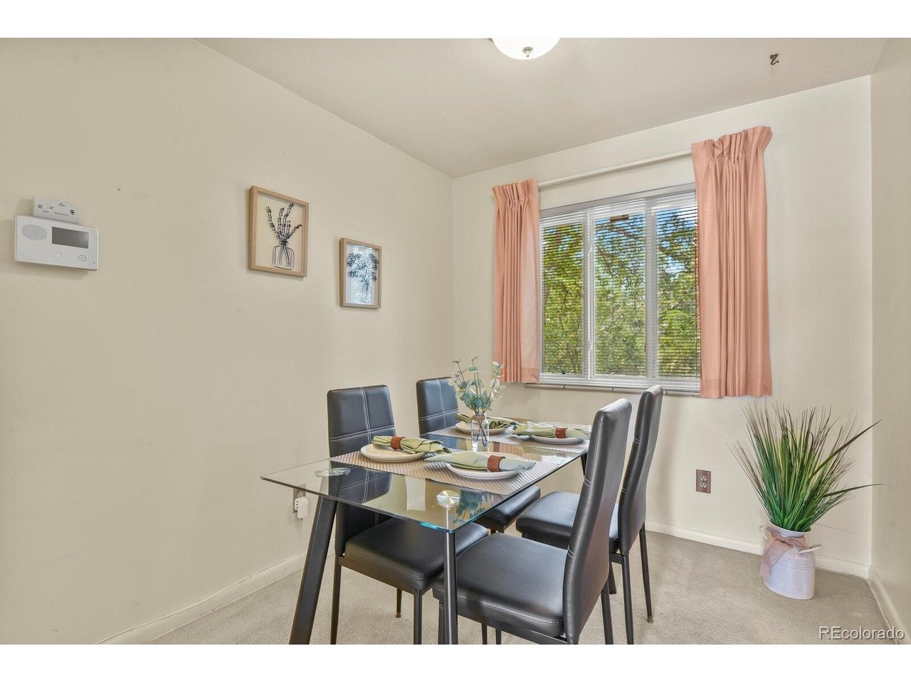 8159 Nola Dr, Denver, CO 80221 photo
