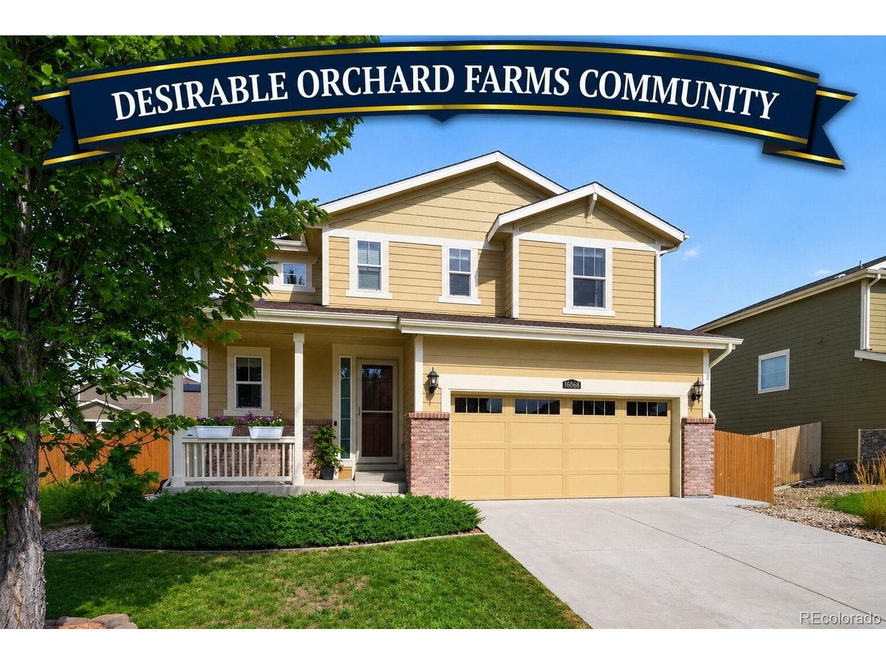 16068 Elizabeth St, Thornton, CO 80602
