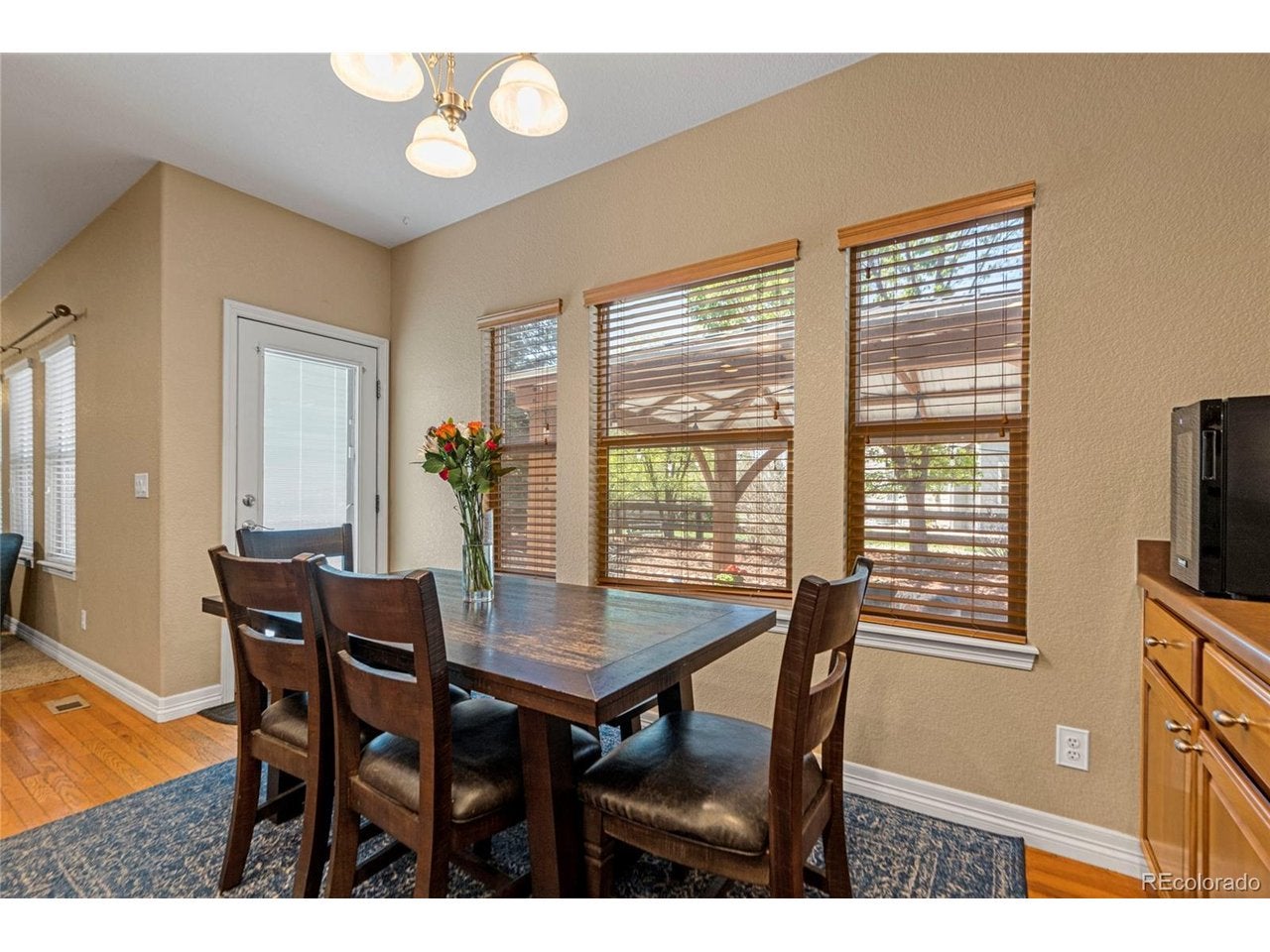 11943 Song Bird Hills St, Parker, CO 80138 photo