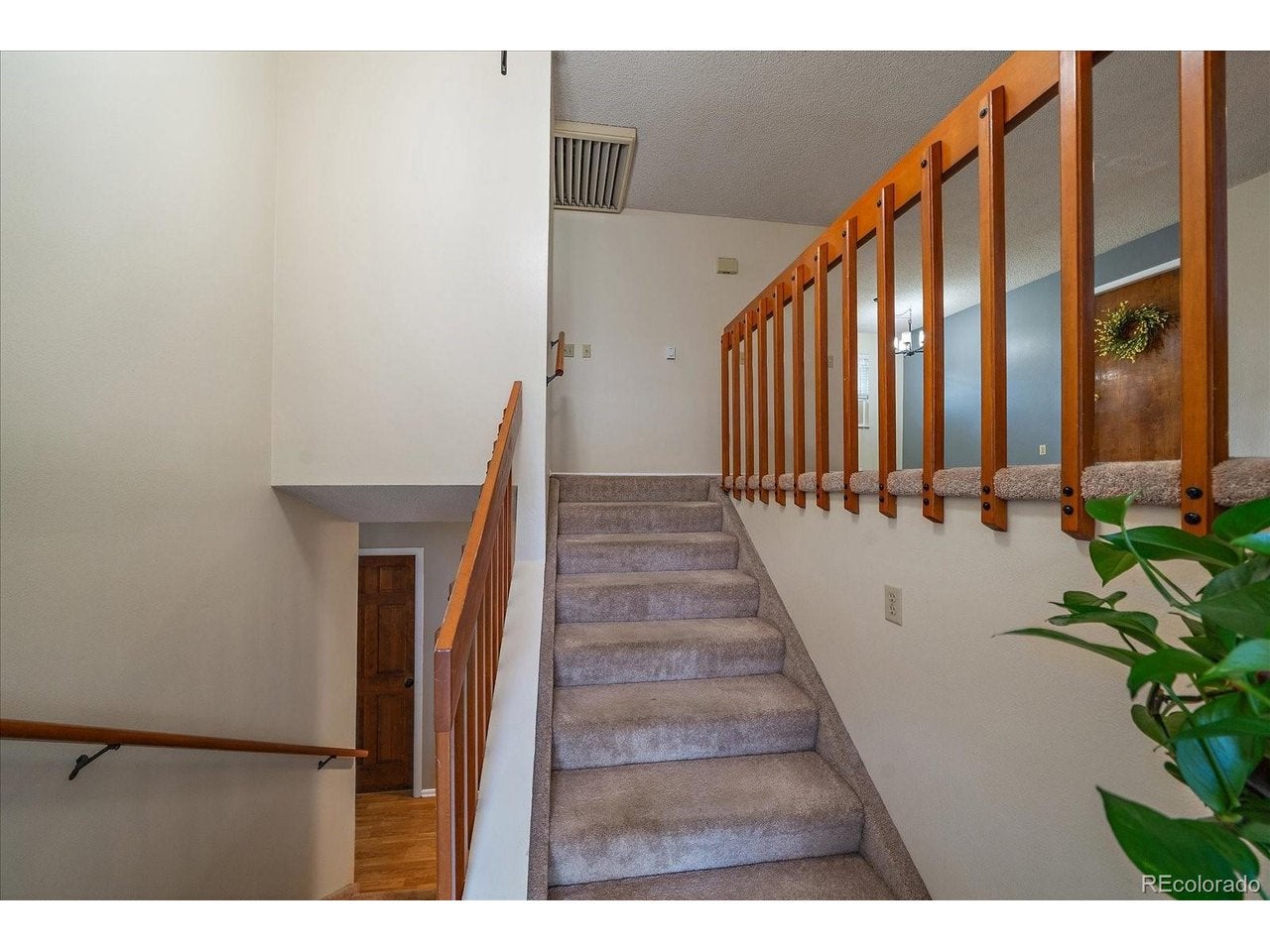 967 Mountain View Dr, Castle Rock, CO 80104 photo