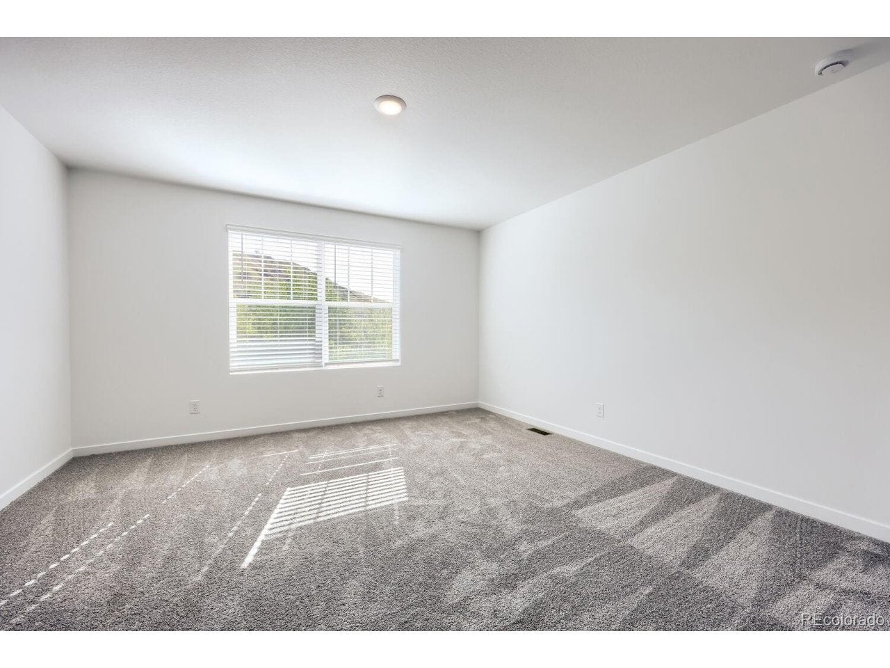 2664 Lower Crags Pt, Colorado Springs, CO 80904 photo