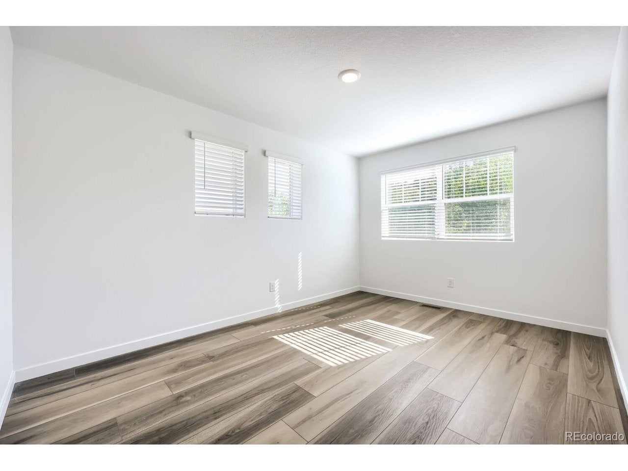 2664 Lower Crags Pt, Colorado Springs, CO 80904 photo