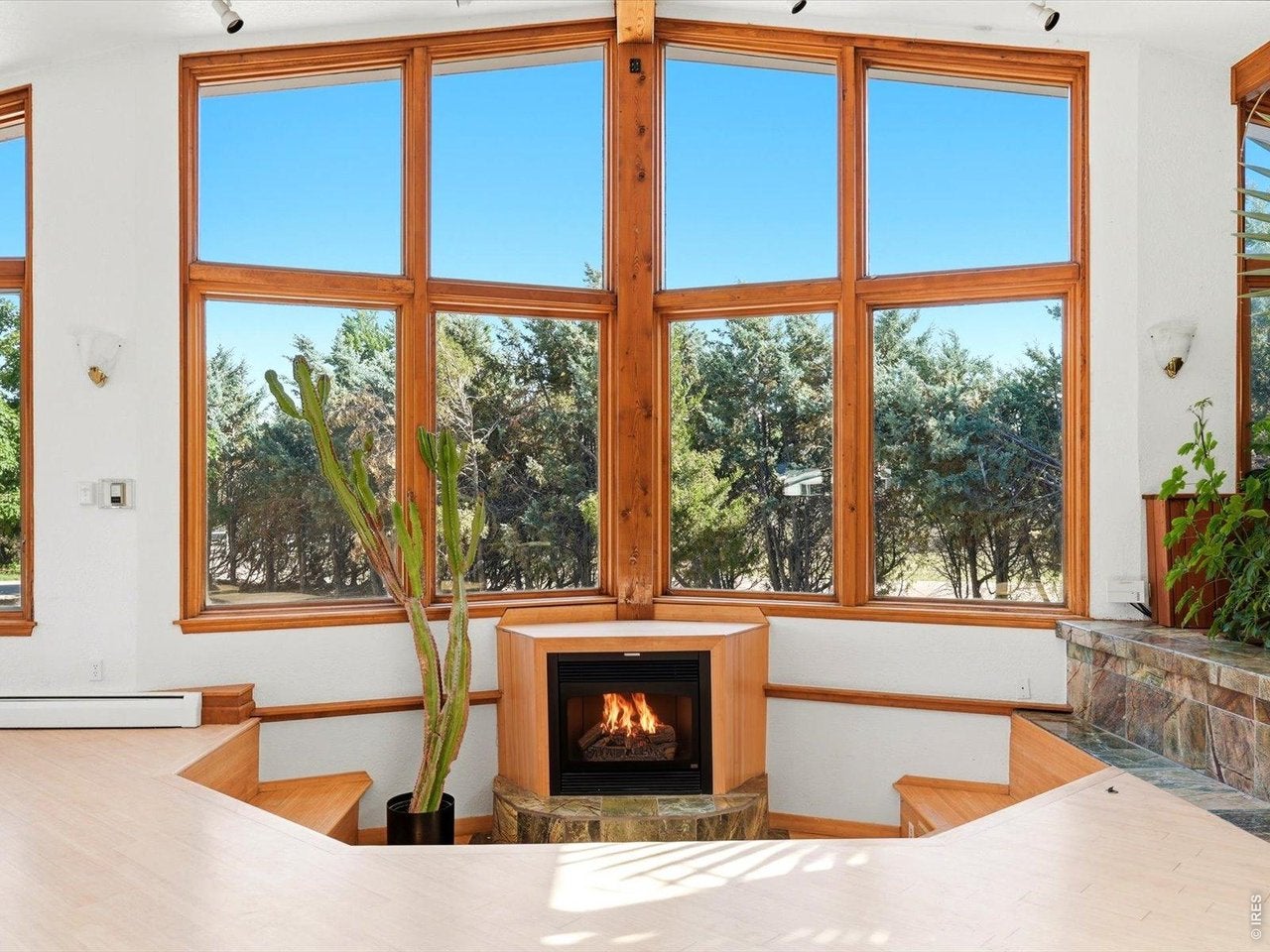 8280 Queen St, Arvada, CO 80005 photo