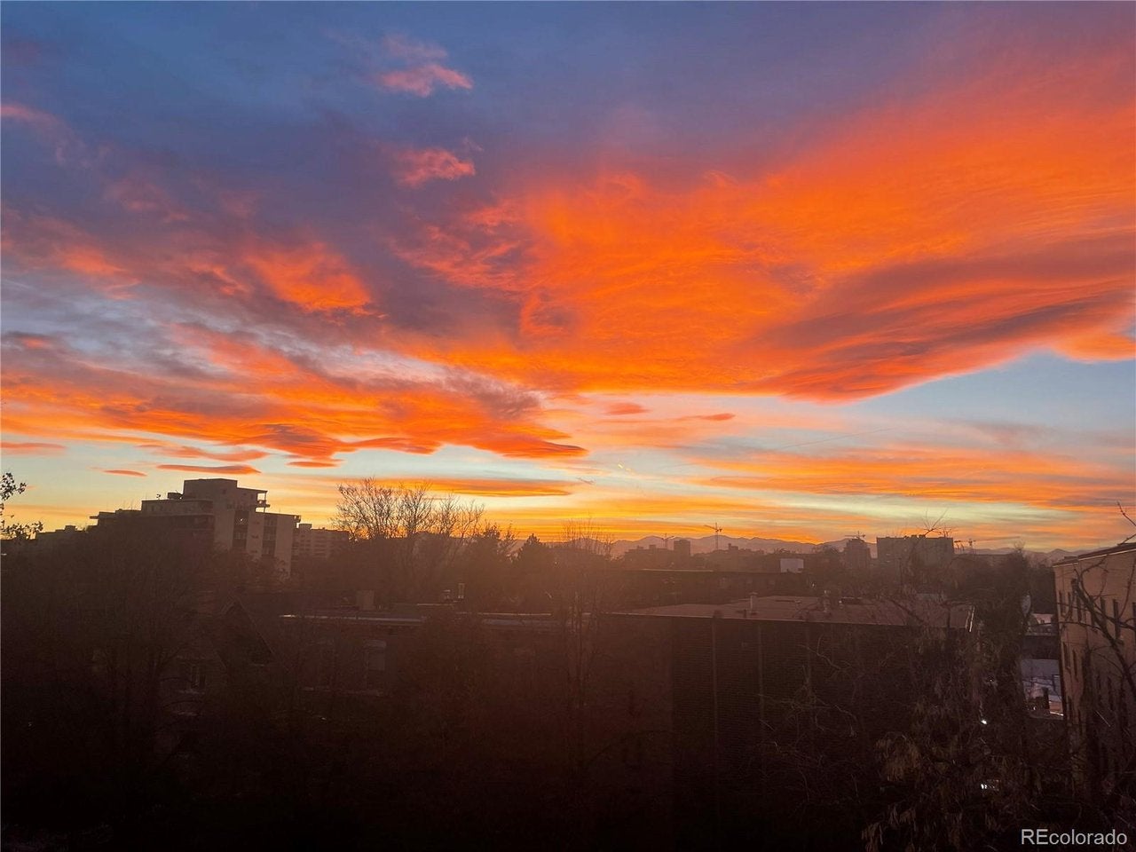 1050 N Corona St #317, Denver, CO 80218 photo