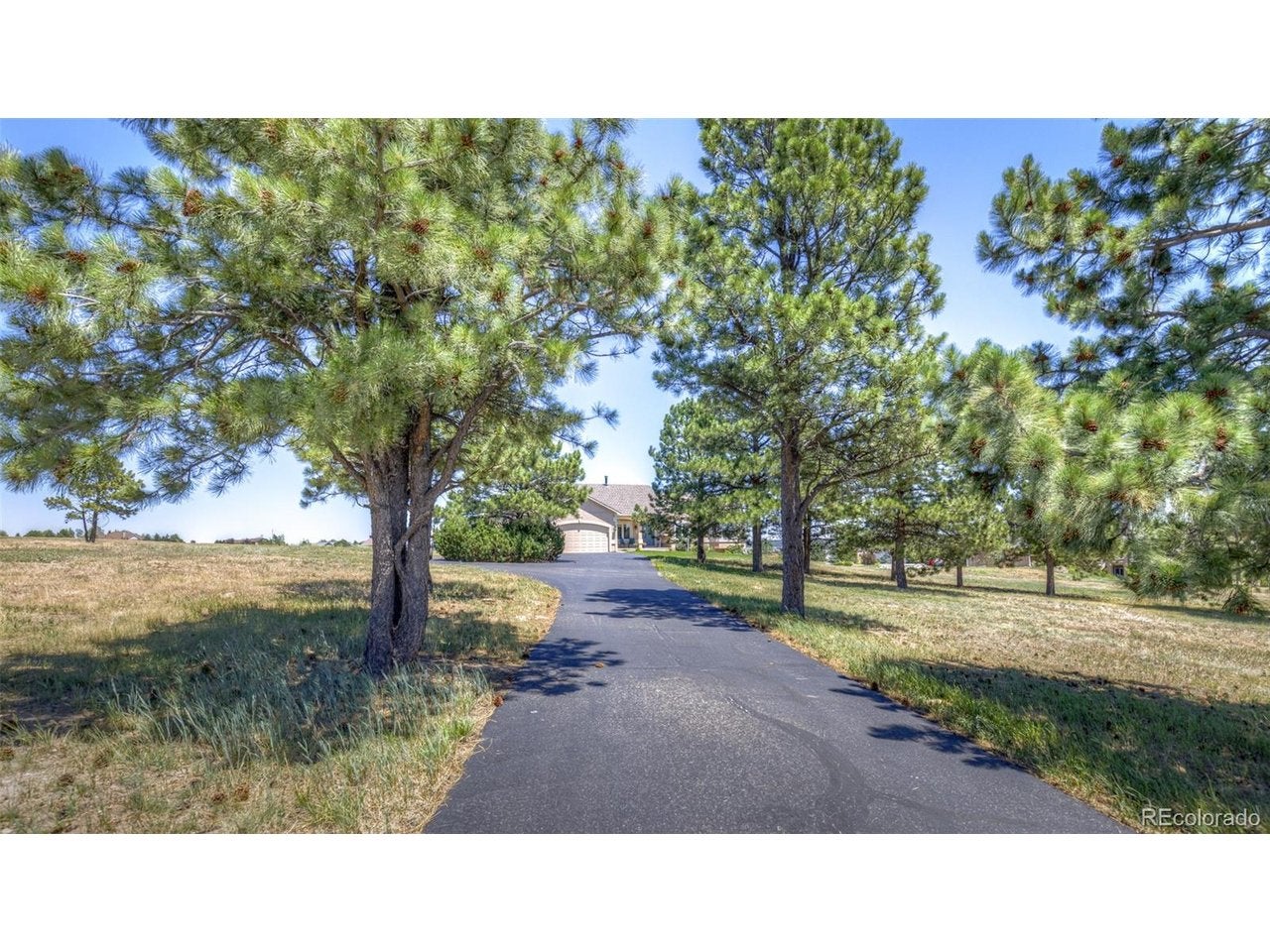 890 E Kings Deer Pt, Monument, CO 80132 photo