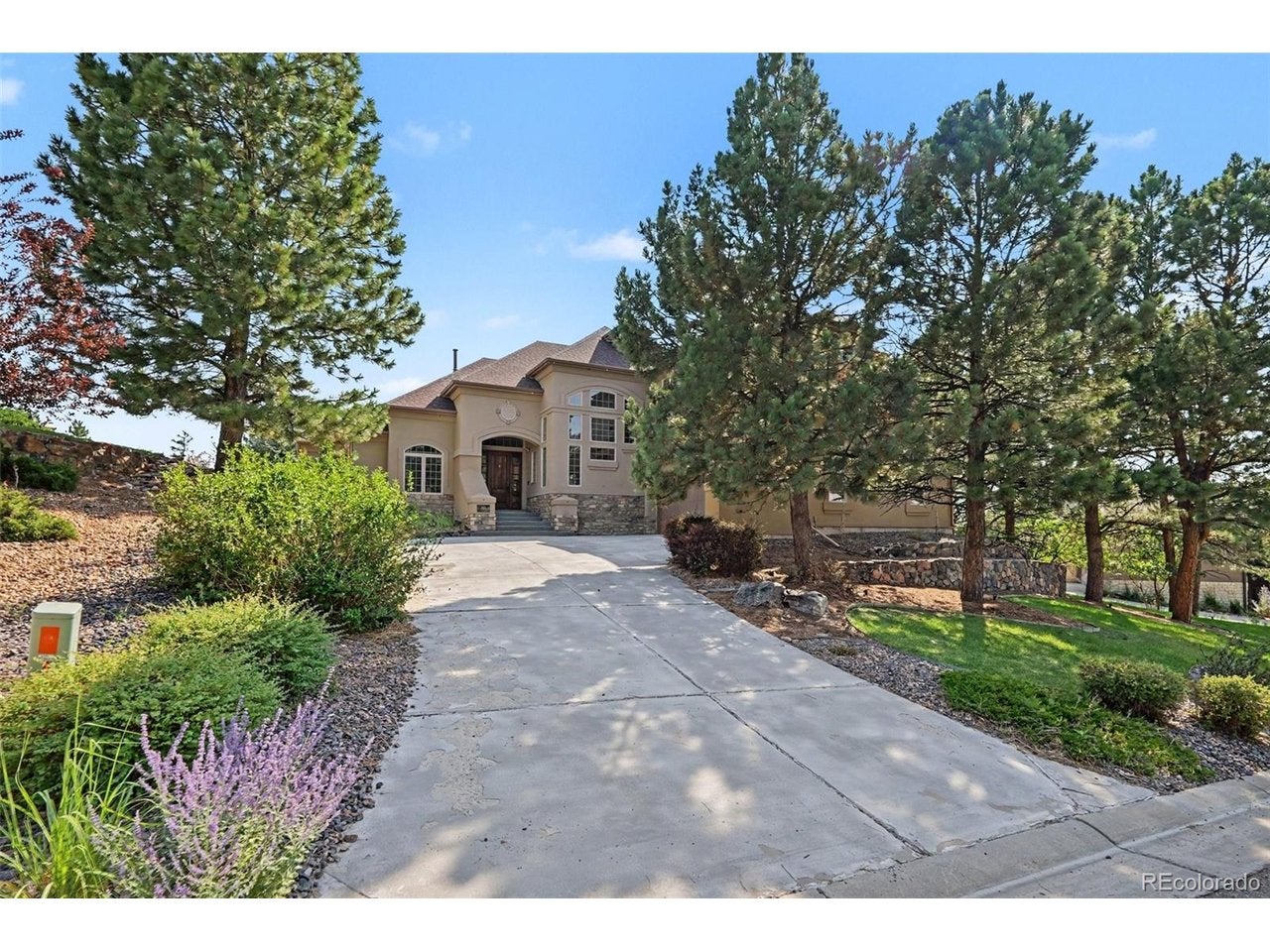 9132 Scenic Pine Dr, Parker, CO 80134 photo