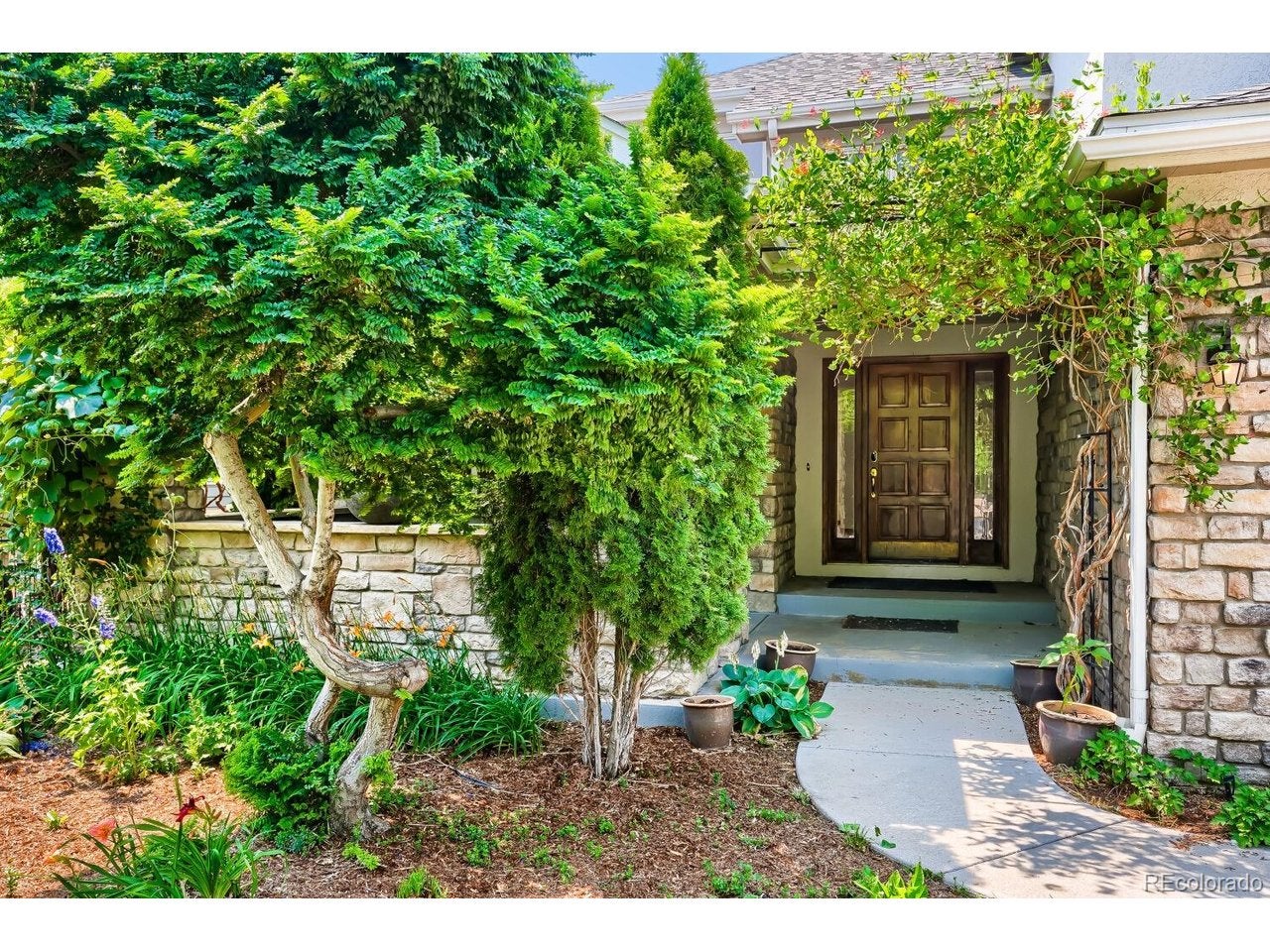 14125 Whitney Cir, Broomfield, CO 80023 photo