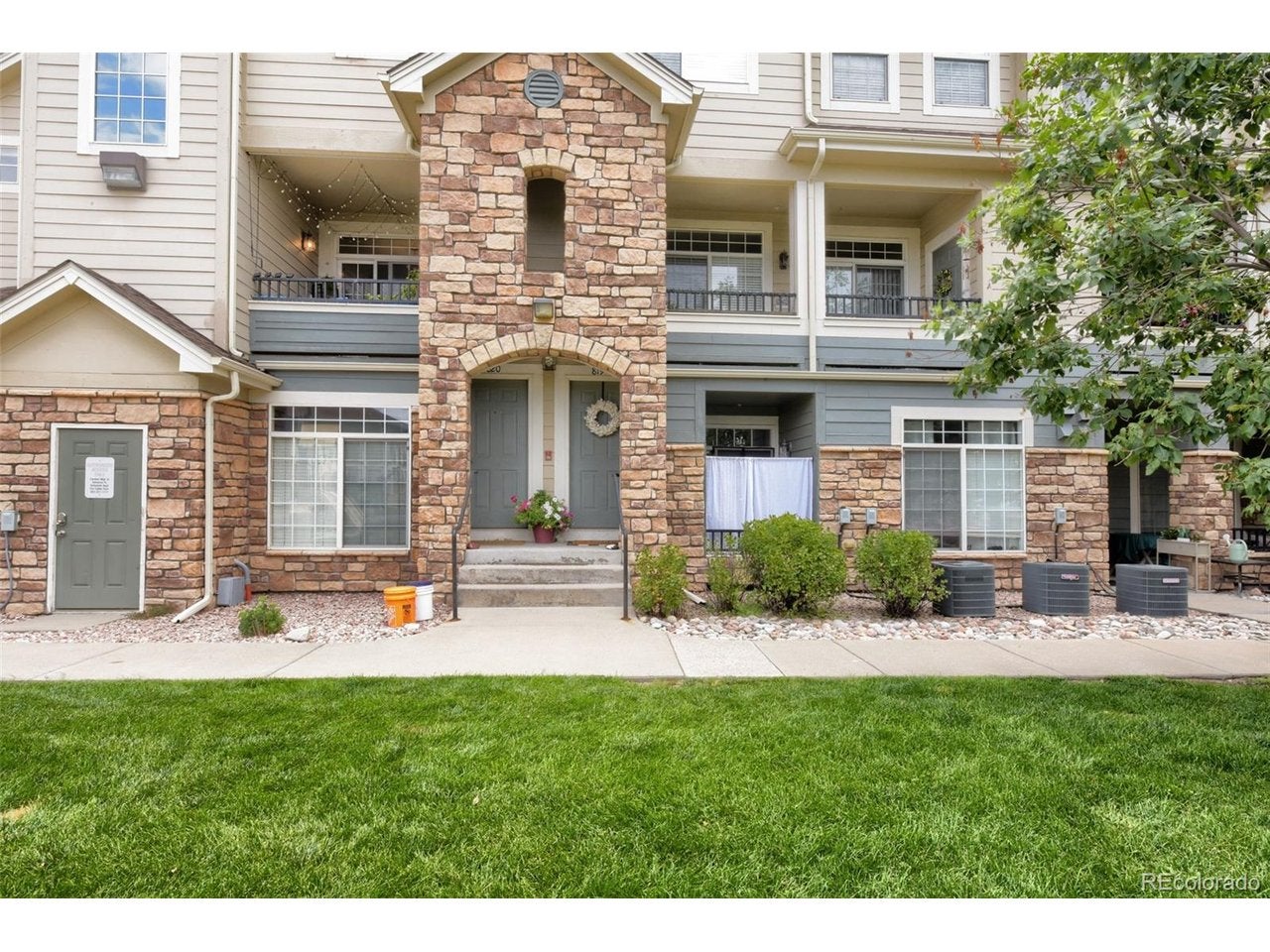 431 Black Feather Loop, Castle Rock, CO 80104